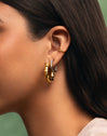 Sugarcane Stainless Steel Gold Hoop Earrings