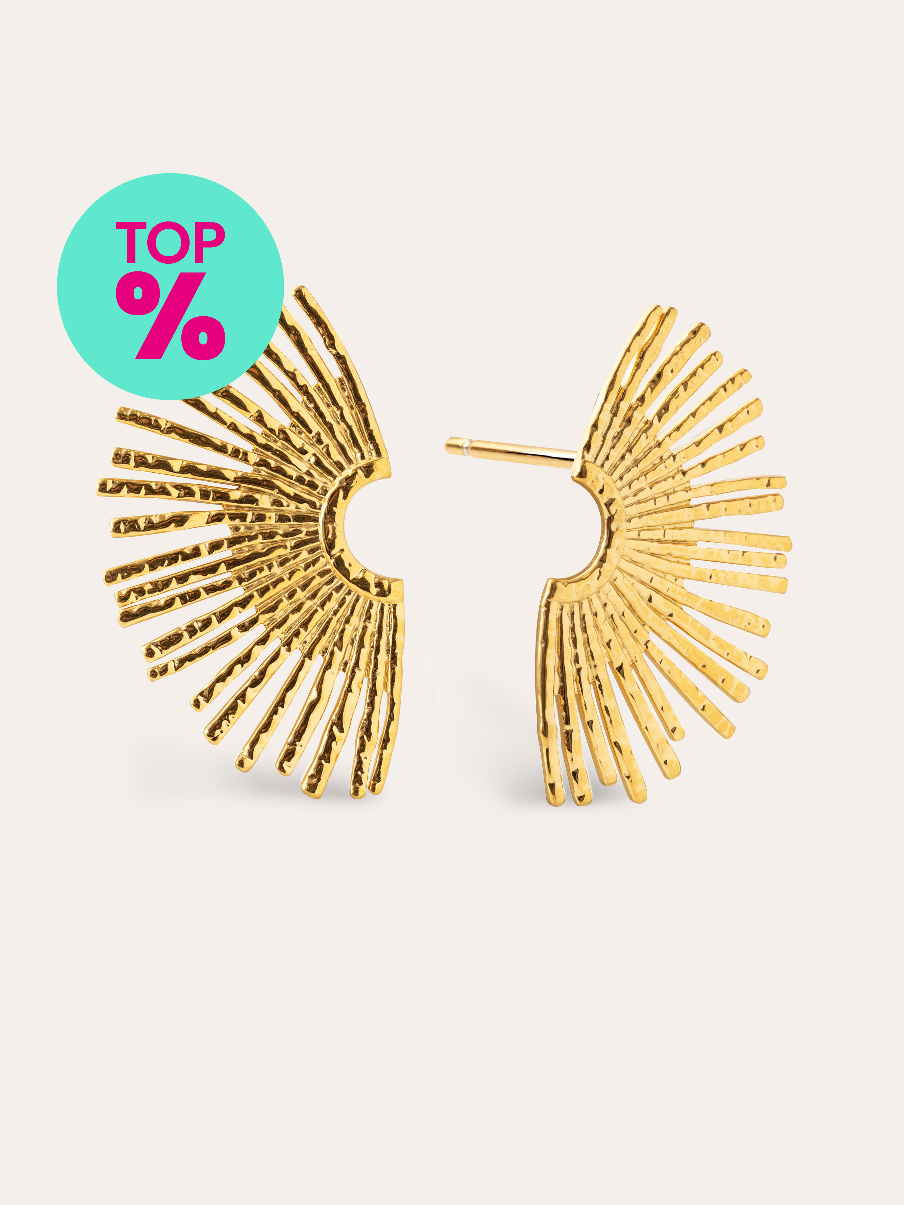 Sunbeam Stainless Steel Gold Earrings