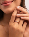 Anillo Cane Cianita Baño Oro