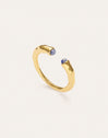 Anillo Cane Cianita Baño Oro