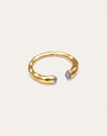Anillo Cane Cianita Baño Oro