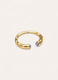 Anillo Cane Cianita Baño Oro