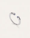 Anillo Cane Cianita