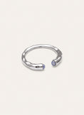 Anillo Cane Cianita