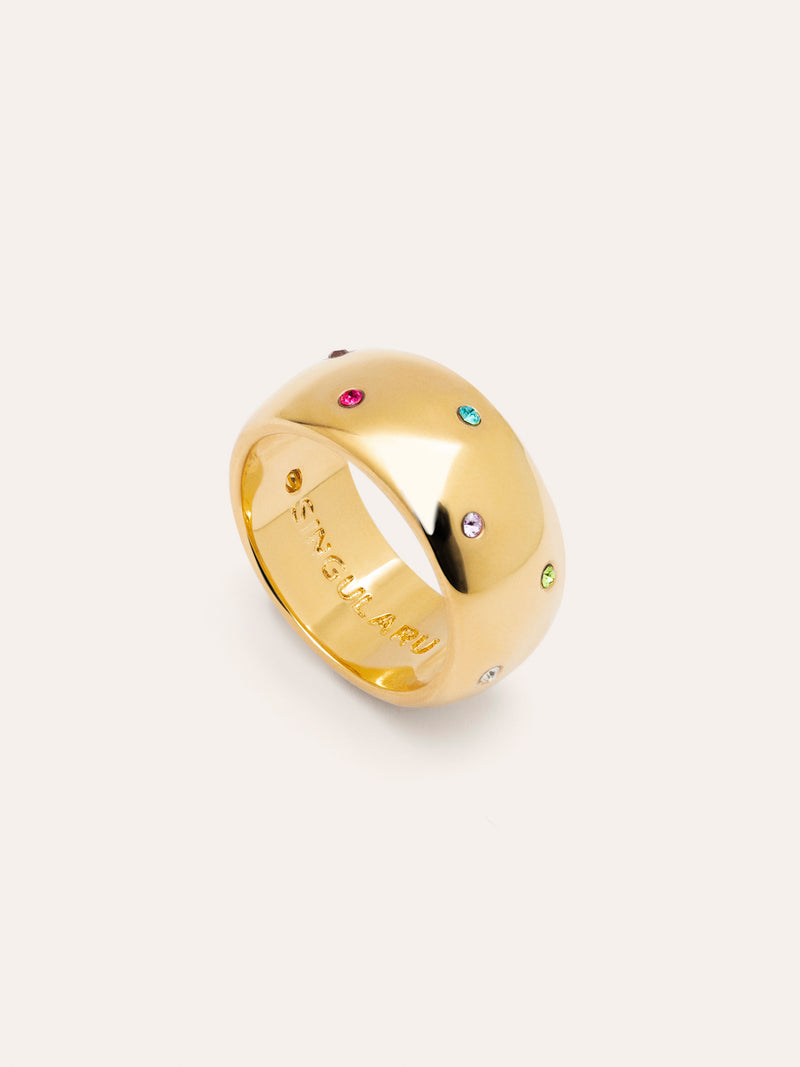 Curve Rainbow Ring van Staal met Goudkleurige coating