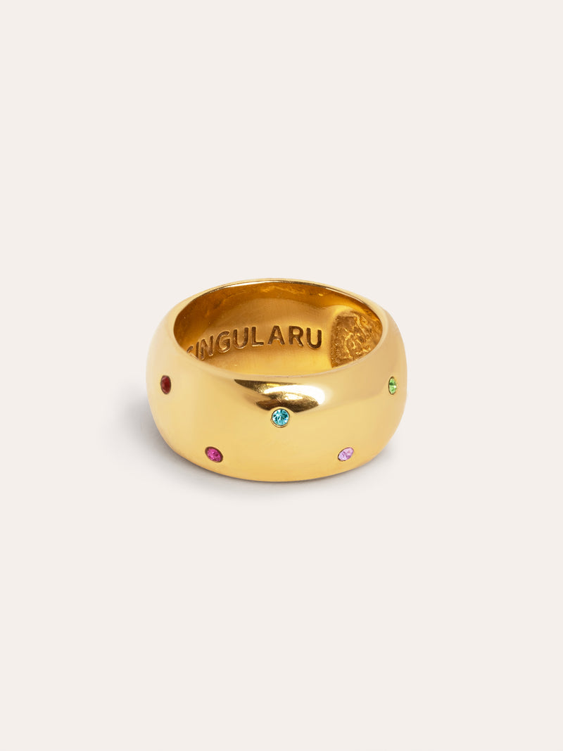 Curve Rainbow Ring van Staal met Goudkleurige coating
