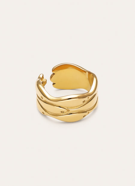 Ring Maui Staal verguld