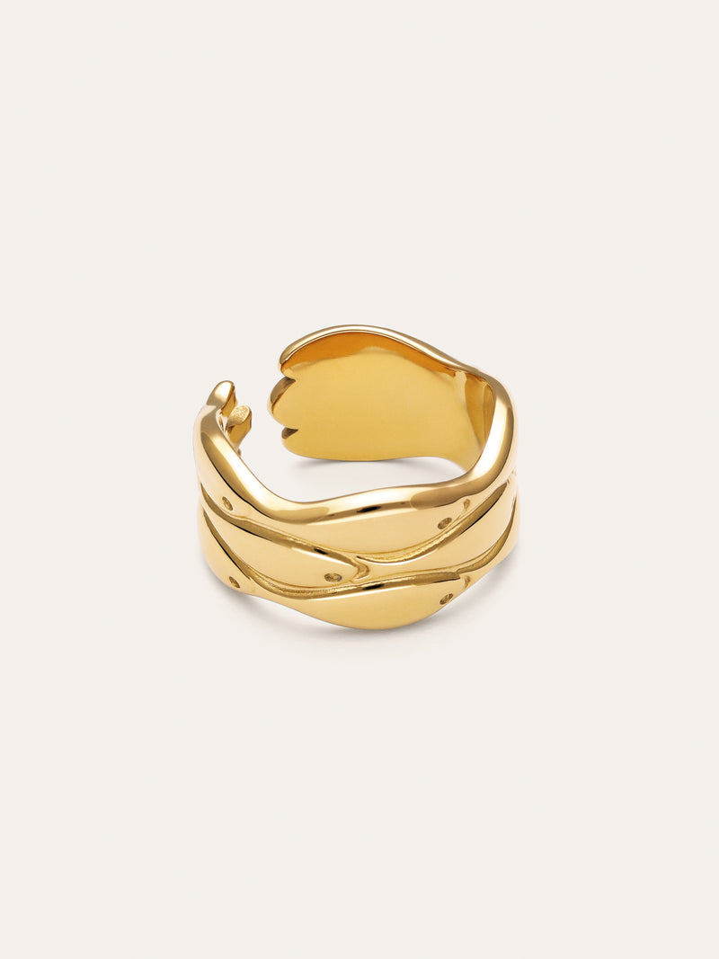 Ring Maui Staal verguld
