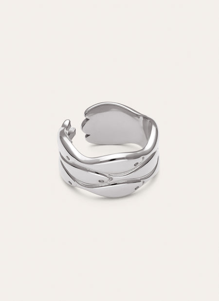 Ring Maui Staal