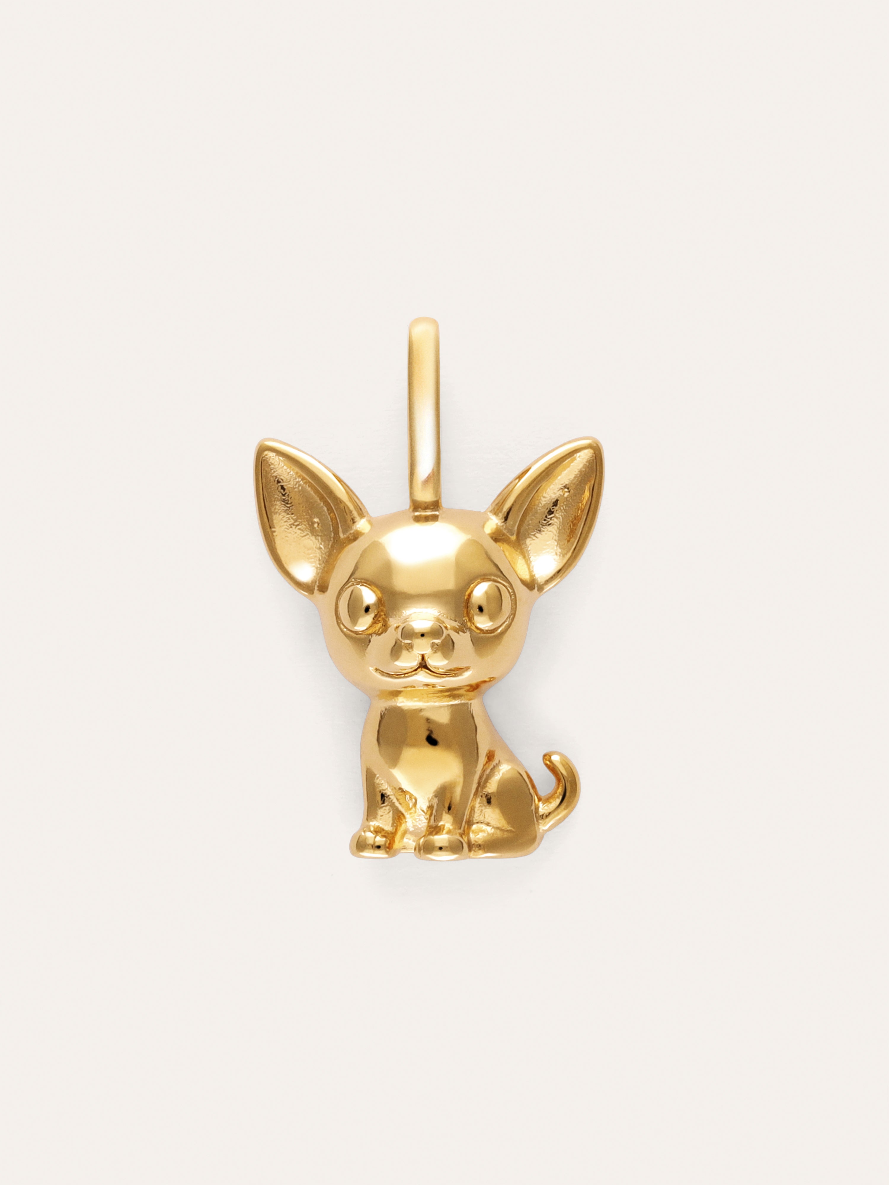 Charm Chihuahua Baño Oro