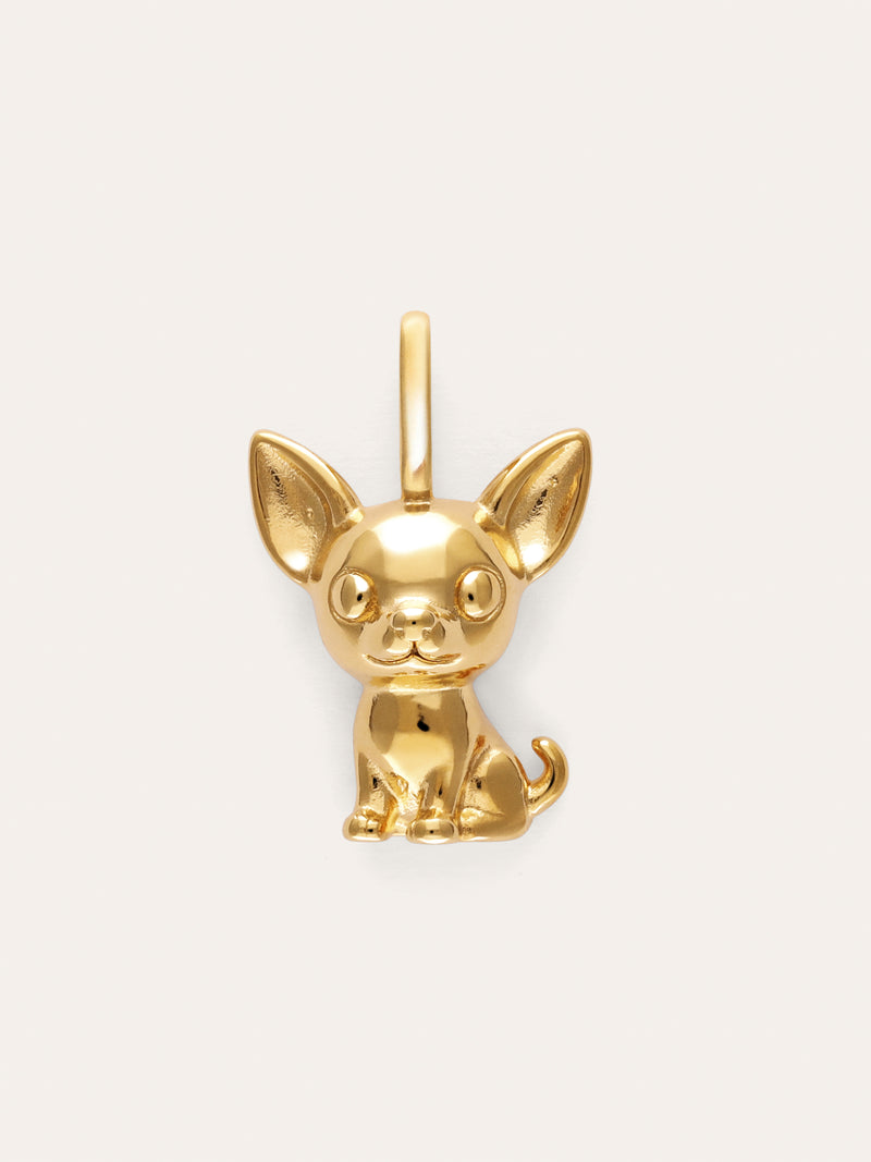 Charm Chihuahua Baño Oro