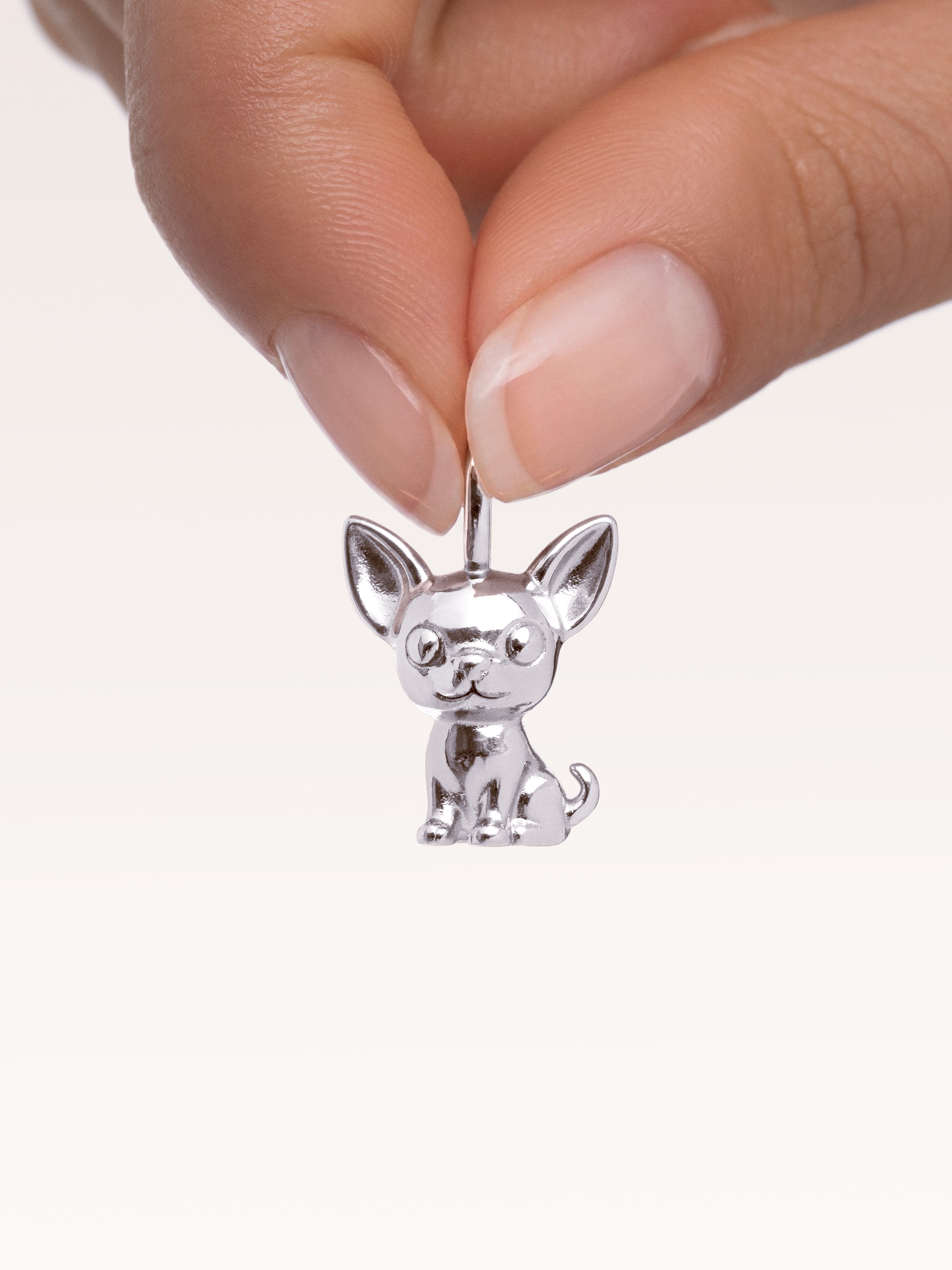 Charm Chihuahua