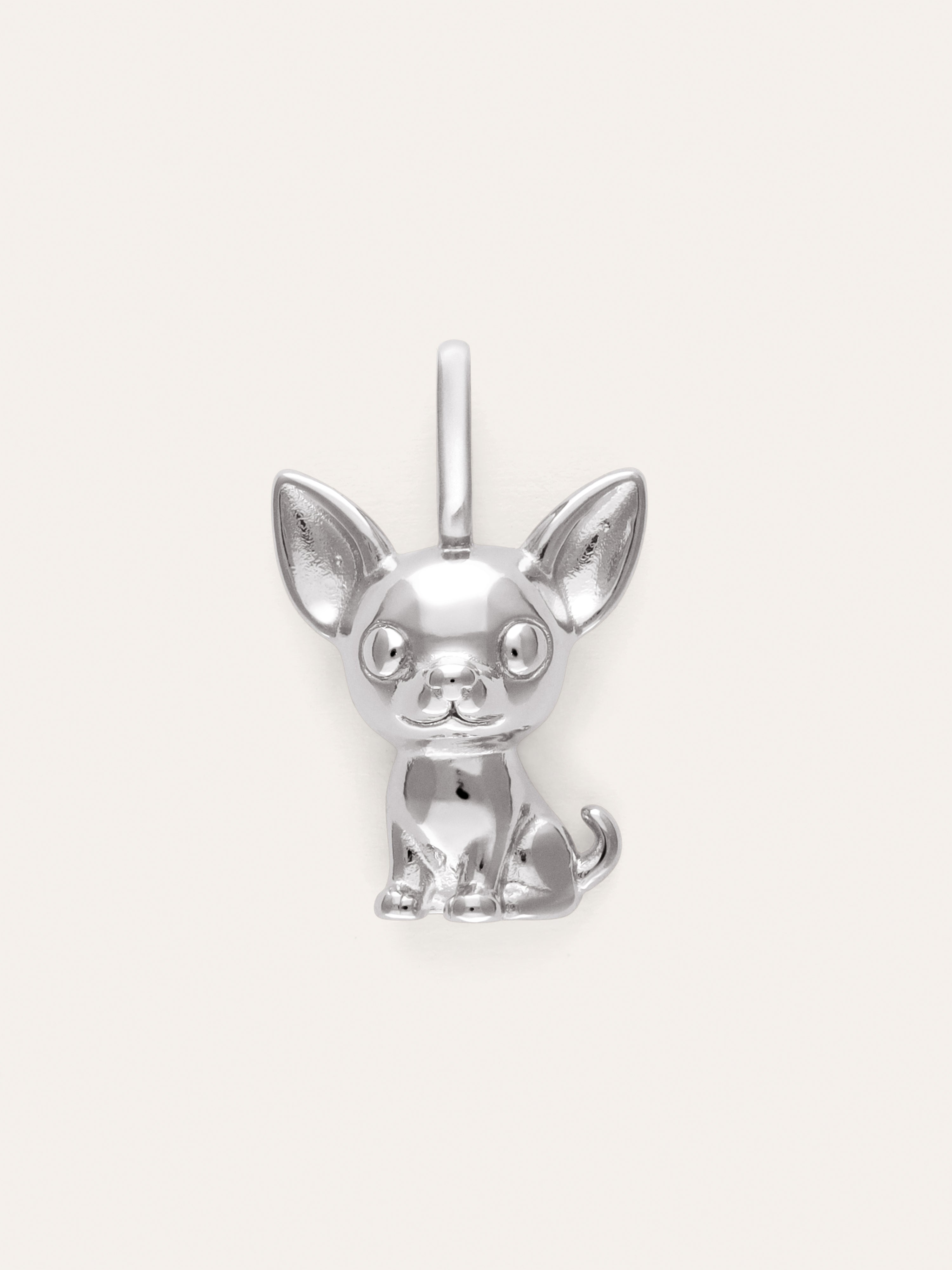 Charm Chihuahua