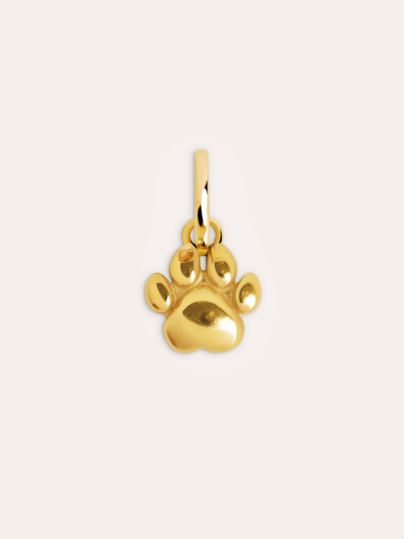 Charm Simple Patte Plaqué Or