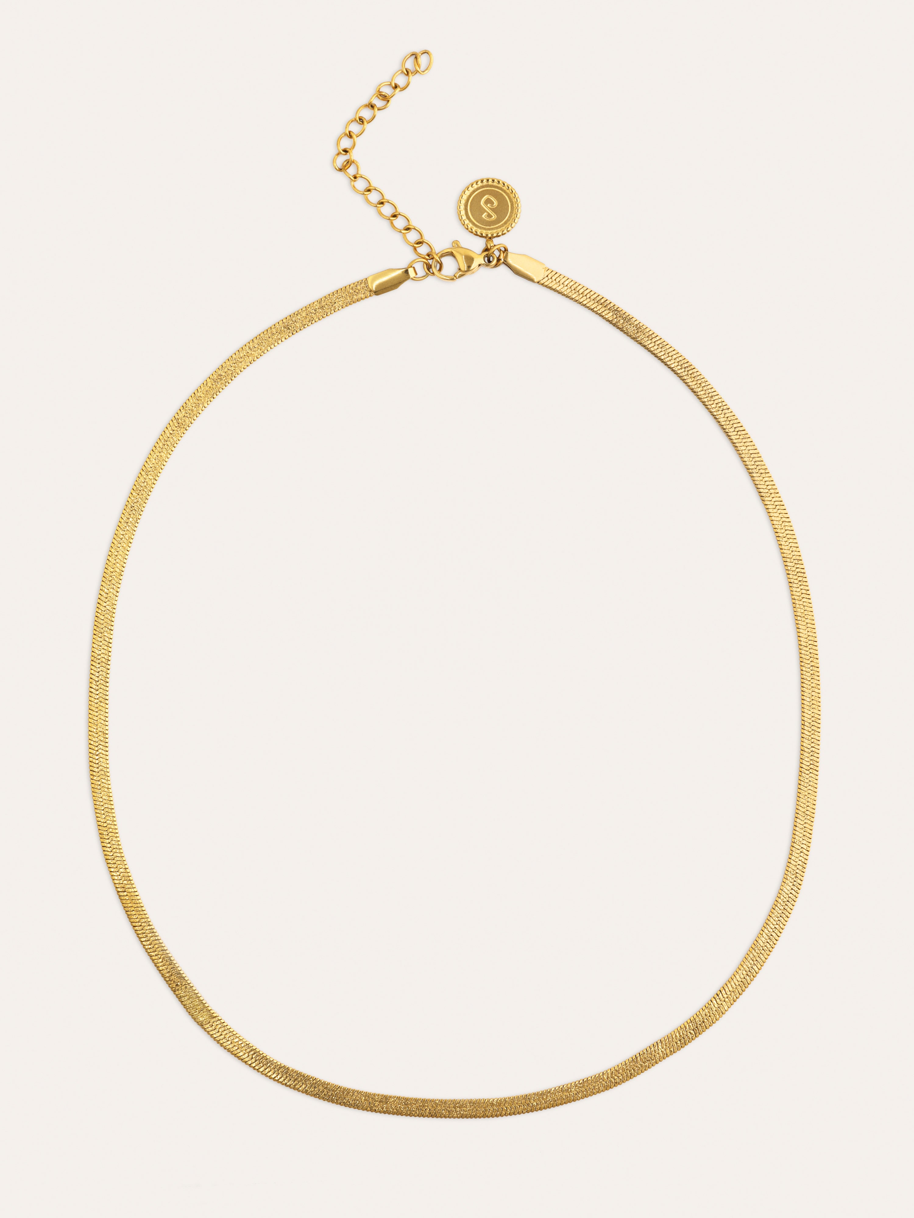 Lisse Sparkling Stainless Steel Gold Necklace