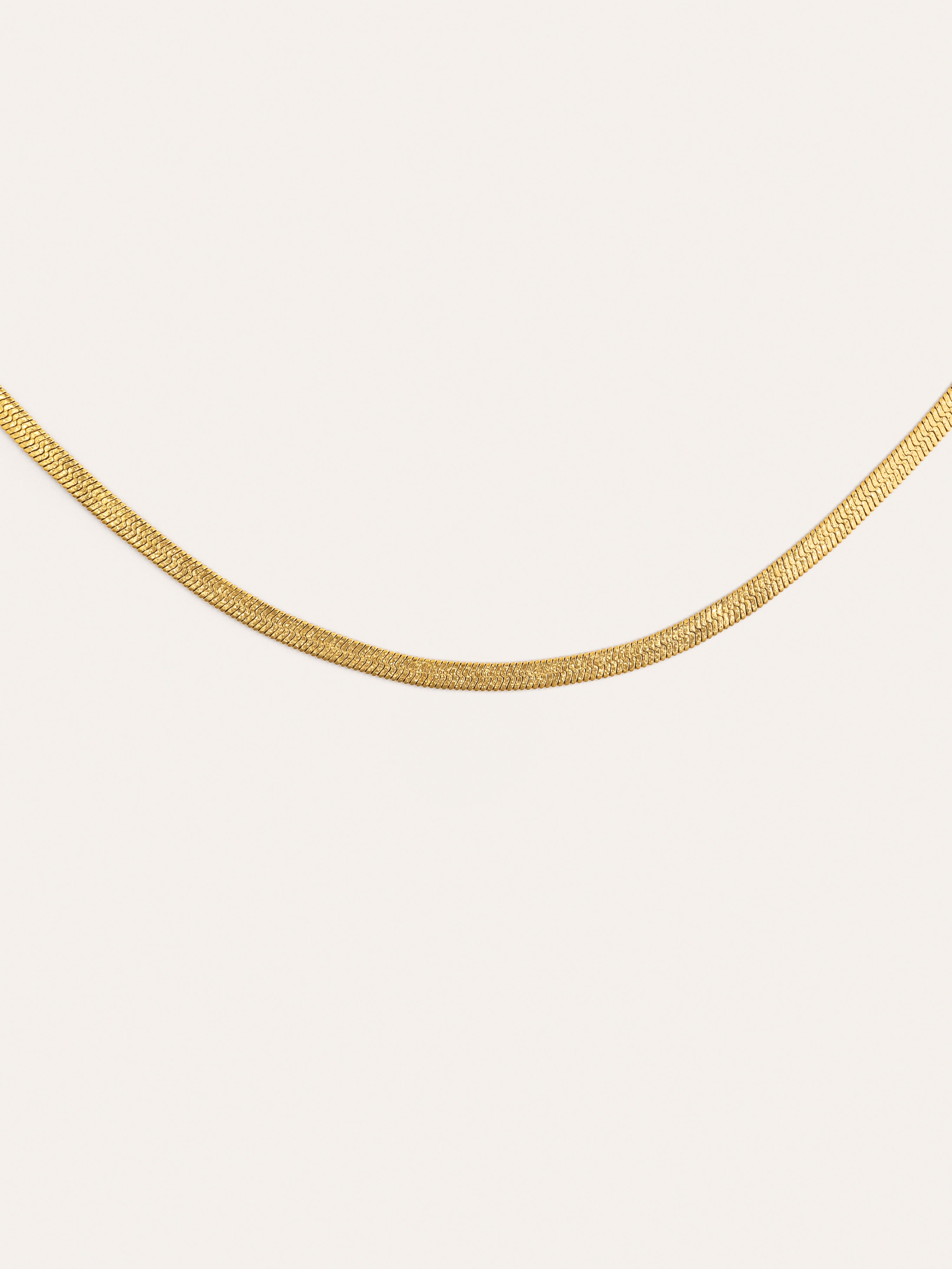 Lisse Sparkling Stainless Steel Gold Necklace