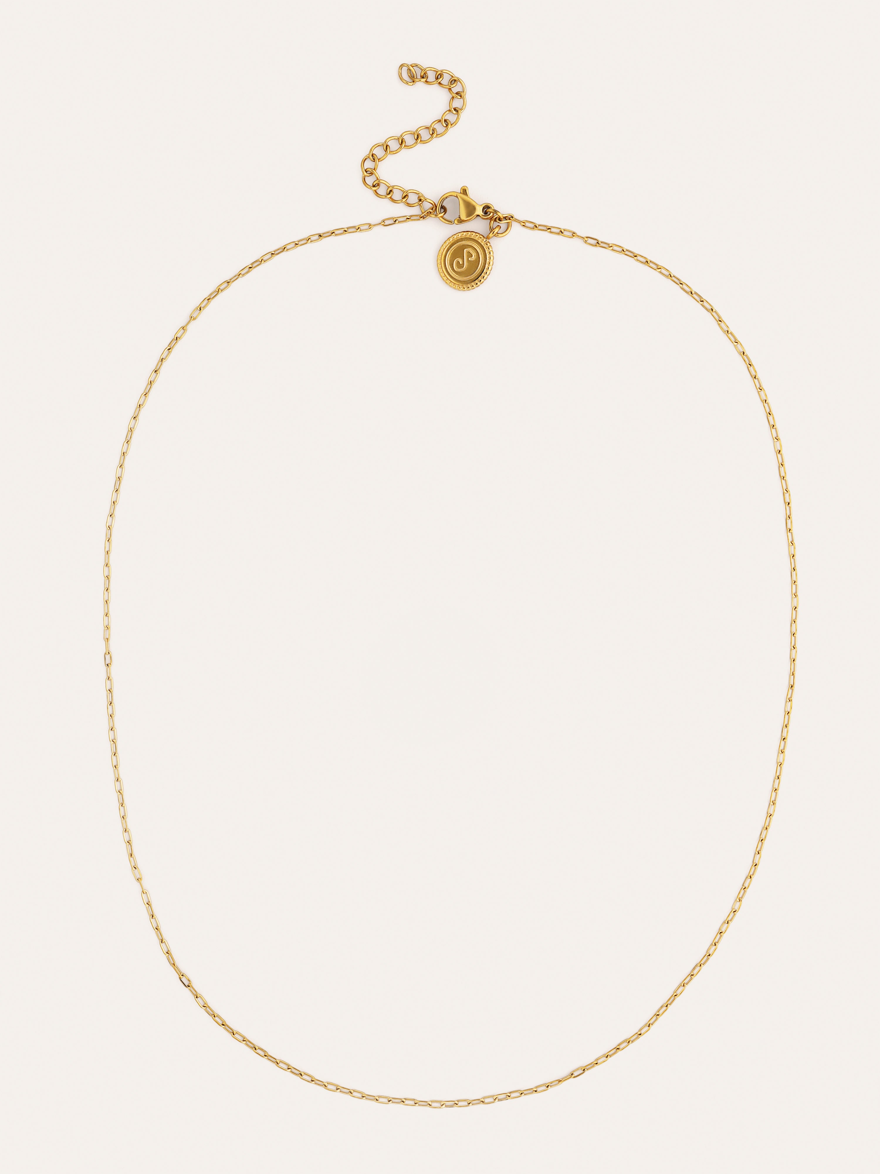 Mini Fine Chic Necklace, Gold Plated Stainless Steel