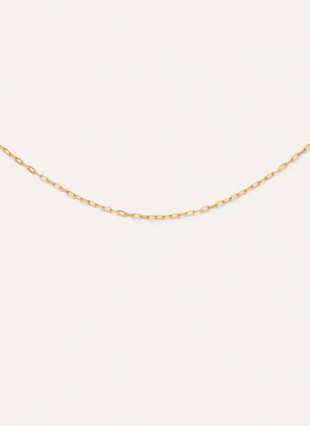 Mini Fine Chic Necklace, Gold Plated Stainless Steel