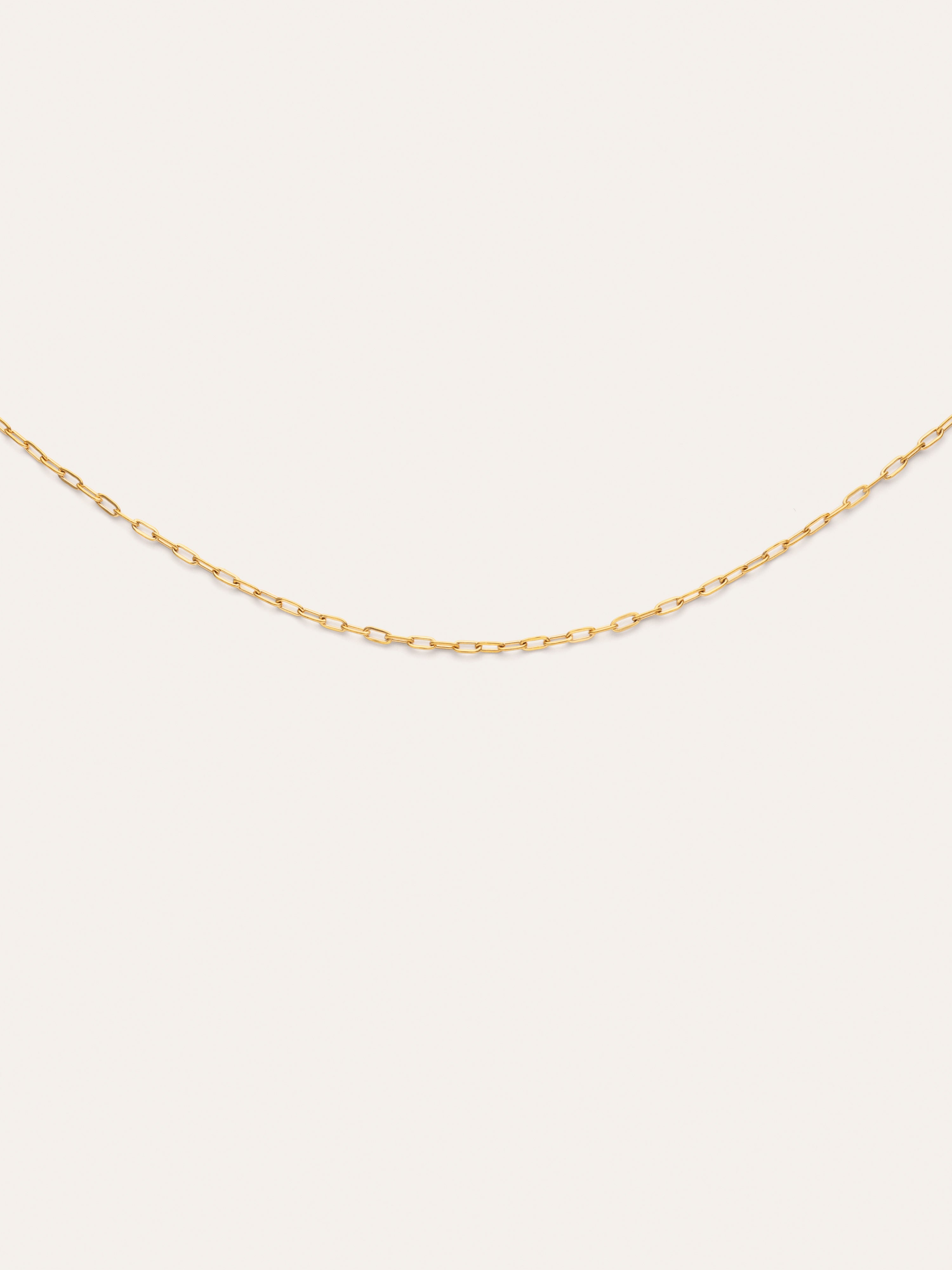 Mini Fine Chic Necklace, Gold Plated Stainless Steel