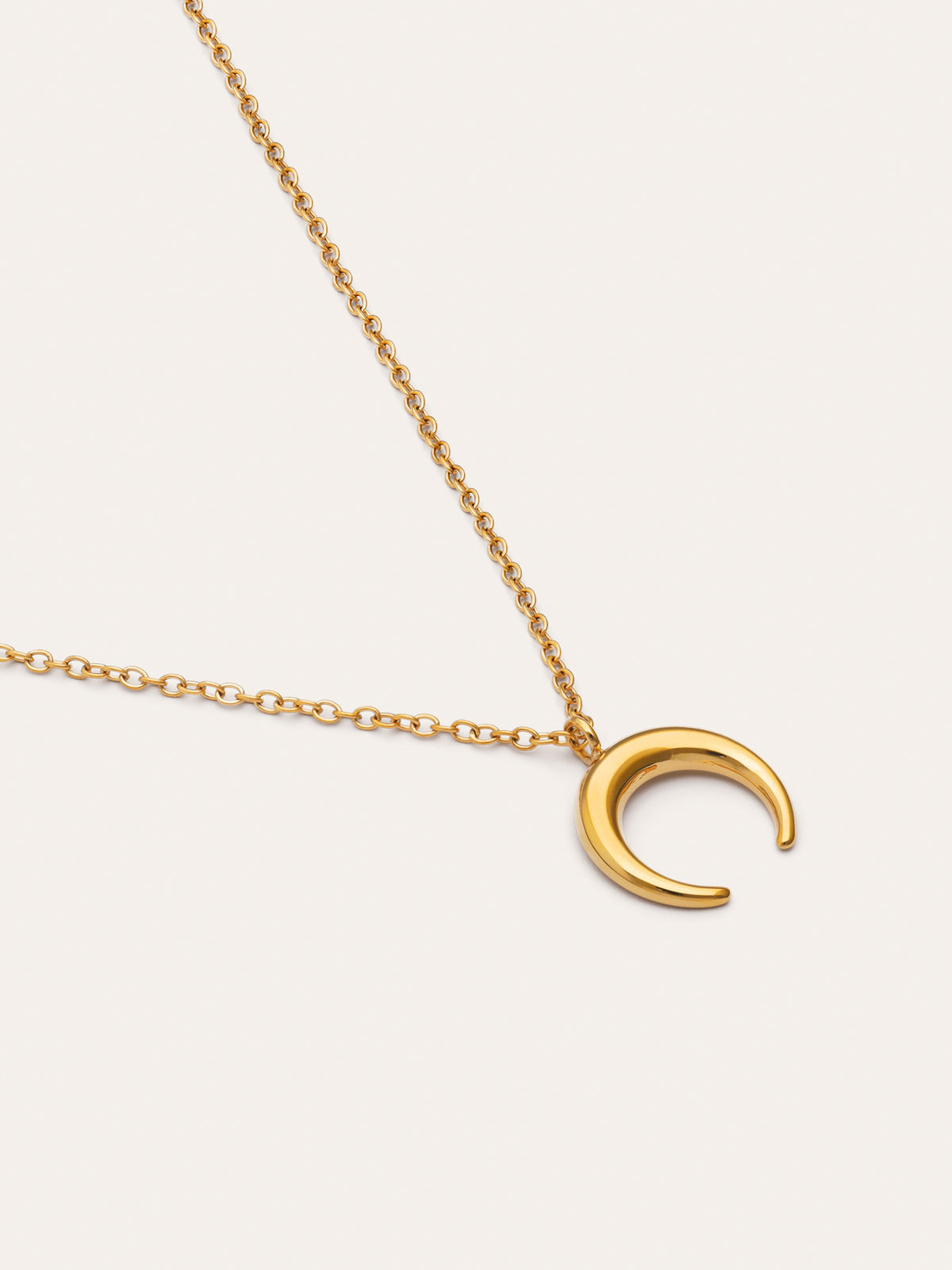 Imagen detalle de Ketting Moonset Staal verguld