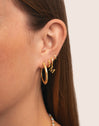 Boucles d'oreilles Créoles Cenit Acier Plaqué Or