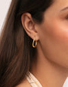Pendientes Aro Paloma Baño Oro