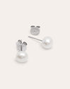 Single Pearl Silver Earrings