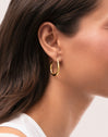 Ohrringe Twist Stahl vergoldet - puesto en modelo