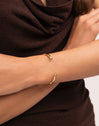 Brazalete Cane Cianita Baño Oro
