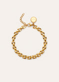 Sierpe Steel Gold Plated Bracelet