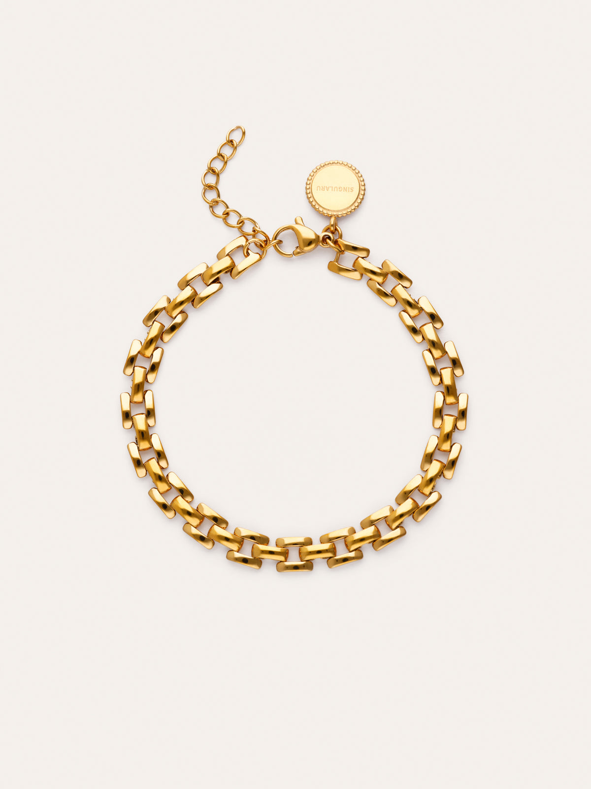 Sierpe Steel Gold Plated Bracelet