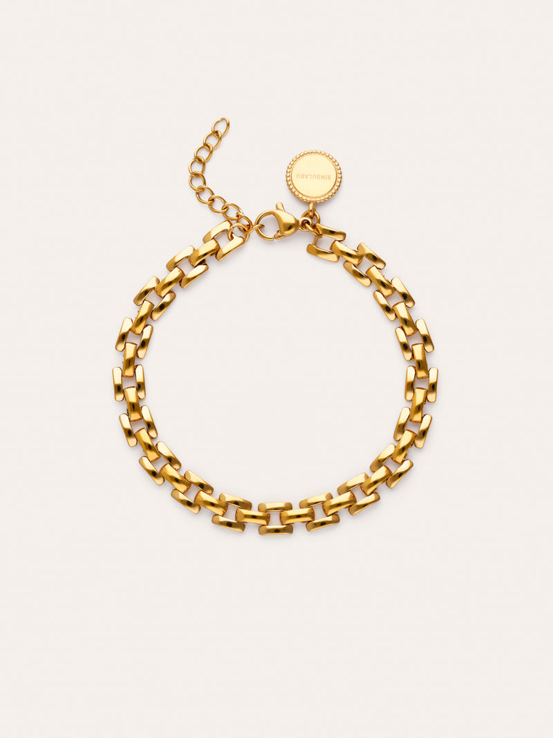 Sierpe Steel Gold Plated Bracelet
