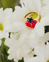 Ladybug Gold Ring