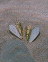 Pendientes Mejillón Enamel Acero Baño Oro