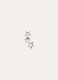 3 Star Silver Single Earring